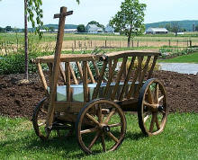 http://amishshop.com/hazel-doc/imageamish2007/goatwagongldbrwnfrnt.jpg (234509 bytes)