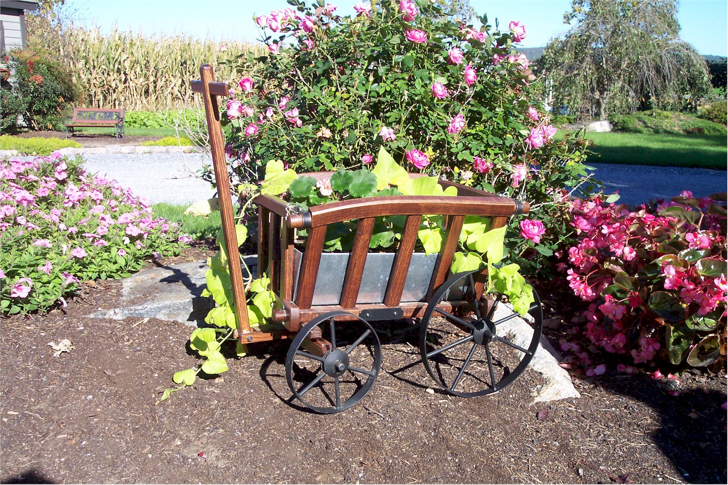 Goat Wagons Amish Wooden Goat Wagon - Amishshop.com